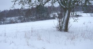 Link to Video | Saarland, winter, rural area, Germany, 4K resolution, 2021, Marpingen, St. Wendel, snow