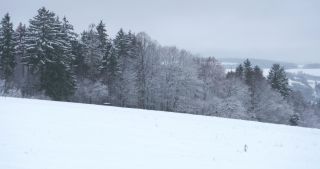 Link zum Video | Saarland, Winter, ländlicher Raum, Deutschland, 4K, 2021, Marpingen, Landkreis St. Wendel, Schnee