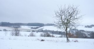 Link to Video | Saarland, winter, rural area, Germany, 4K resolution, 2021, Marpingen, St. Wendel, snow
