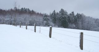 Link zum Video | Saarland, Winter, ländlicher Raum, Deutschland, 4K, 2021, Marpingen, Landkreis St. Wendel, Schnee