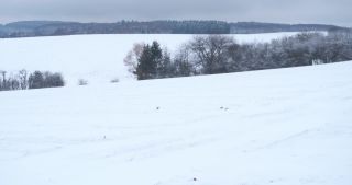 Link to Video | Saarland, winter, rural area, Germany, 4K resolution, 2021, Marpingen, St. Wendel, snow