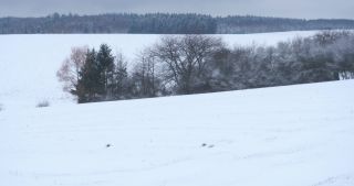 Link to Video | Saarland, winter, rural area, Germany, 4K resolution, 2021, Marpingen, St. Wendel, snow