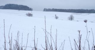Link zum Video | Saarland, Winter, ländlicher Raum, Deutschland, 4K, 2021, Marpingen, Landkreis St. Wendel, Schnee