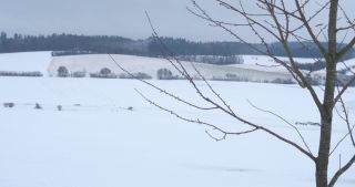Link zum Video | Saarland, Winter, ländlicher Raum, Deutschland, 4K, 2021, Marpingen, Landkreis St. Wendel, Schnee