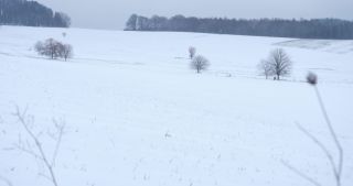Link zum Video | Saarland, Winter, ländlicher Raum, Deutschland, 4K, 2021, Marpingen, Landkreis St. Wendel, Schnee