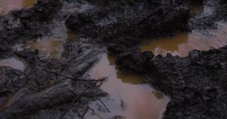 Link zum Video | Landschaft, Winter, Schlamm, Deutschland, Wasser, 2021, Regen