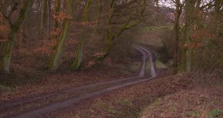 Link zum Video | Landschaft, Saarland, Winter, ländlicher Raum, Deutschland, Wald, 2021