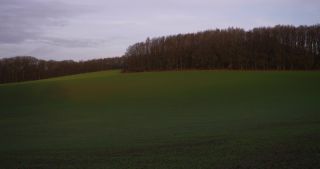 Link to Video | landscape, Saarland, winter, rural area, Germany, forest, 2021