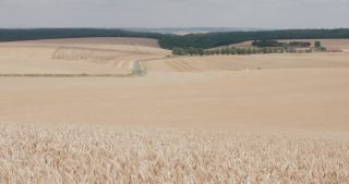 Link to Video | landscape, Lorraine, Meuse, summer, France, rural area, Grand Est, 4K resolution, 2019