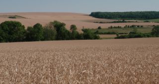 Link to Video | landscape, Lorraine, Meuse, summer, France, rural area, Grand Est, 4K resolution, 2019