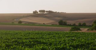 Link to Video | landscape, agriculture, Marne, summer, Champagne-Ardenne, France, rural area, Grand Est, 4K resolution, Champagne crayeuse, 2019, agricultural land