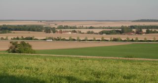 Link to Video | landscape, agriculture, Marne, summer, Champagne-Ardenne, France, rural area, Grand Est, 4K resolution, Champagne crayeuse, 2019, agricultural land