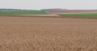 Link to Video | landscape, agriculture, Marne, summer, Champagne-Ardenne, France, rural area, Grand Est, 4K resolution, Champagne crayeuse, 2019, agricultural land