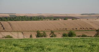 Link to Video | landscape, agriculture, Marne, summer, Champagne-Ardenne, France, rural area, Grand Est, 4K resolution, Champagne crayeuse, 2019, agricultural land