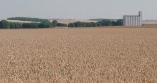 Link to Video | landscape, agriculture, Marne, summer, Champagne-Ardenne, France, rural area, Grand Est, 4K resolution, Champagne crayeuse, 2019, agricultural land