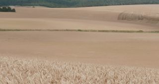 Link to Video | landscape, Lorraine, Meuse, summer, France, rural area, Grand Est, 4K resolution, 2019