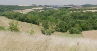 Link to Video | landscape, Lorraine, Meuse, summer, France, rural area, Grand Est, 4K resolution, 2019