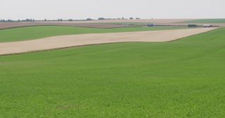 Link to Video | landscape, agriculture, Marne, summer, Champagne-Ardenne, France, rural area, Grand Est, 4K resolution, Champagne crayeuse, 2019, agricultural land