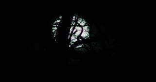 Link to Video | full moon, Saarland, Germany, phase of the moon, Moon, night, Marpingen
