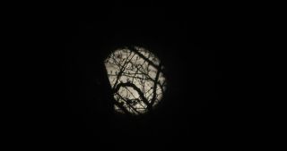 Link to Video | full moon, Saarland, Germany, phase of the moon, Moon, night, Marpingen