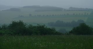 Link to Video | 2021, weather, May, Saarland, spring, rural area, Germany, 4K resolution, Marpingen, St. Wendel, rain