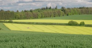 Link to Video | Apis, landscape, 2021, Saarland, spring, rural area, rapeseed, canola, Germany, field, 4K resolution, agricultural land, 2021, Marpingen, St. Wendel