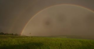 Link to Video | rainbow, landscape, 2021, Saarland, spring, rural area, Germany, field, 4K resolution, Poaceae, 2021, St. Wendel, meadow, rain, wind, storm