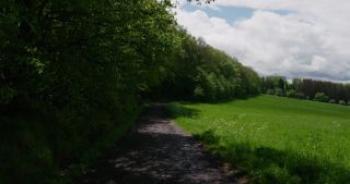 Link to Video | landscape, 2021, May, Saarland, spring, Germany, 4K resolution, forest, 2021, St. Wendel