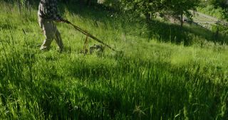 Link to Video | 2021, Saarland, spring, Germany, St. Wendel