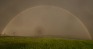 Link to Video | rainbow, landscape, 2021, Saarland, spring, rural area, Germany, field, 4K resolution, Poaceae, 2021, St. Wendel, meadow, rain, wind, storm