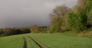Link to Video | landscape, 2021, Saarland, spring, rural area, Germany, 4K resolution, 2021, hill, Marpingen, St. Wendel