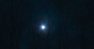 Link to Video | full moon, tree, Saarland, Germany, time-lapse photography, 4K resolution, phase of the moon, forest