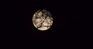 Link to Video | full moon, tree, Saarland, Germany, time-lapse photography, 4K resolution, phase of the moon, forest