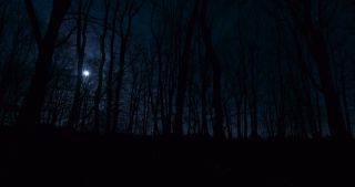 Link to Video | full moon, tree, Saarland, Germany, time-lapse photography, 4K resolution, phase of the moon, forest