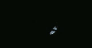 Link to Video | full moon, tree, Saarland, Germany, time-lapse photography, 4K resolution, phase of the moon, forest