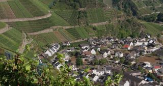 Link to Video | Rhineland-Palatinate, Germany, 4K resolution, disaster, Ahr Valley, 2021, September 2021, global warming, flood