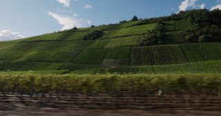 Link to Video | Rhineland-Palatinate, Germany, 4K resolution, disaster, Ahr Valley, 2021, September 2021, global warming, flood