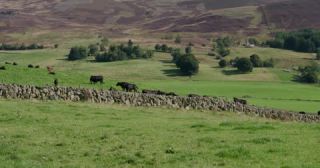 Link to Video | Scottish Highlands, landscape, Grampian Mountains, summer, United Kingdom, rural area, Perth and Kinross, Scotland, 4K resolution, 2022