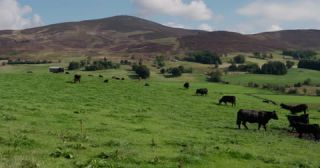 Link to Video | Scottish Highlands, landscape, Grampian Mountains, summer, United Kingdom, rural area, Perth and Kinross, Scotland, 4K resolution, 2022