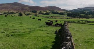 Link to Video | Scottish Highlands, landscape, Grampian Mountains, summer, United Kingdom, rural area, Perth and Kinross, Scotland, 4K resolution, 2022