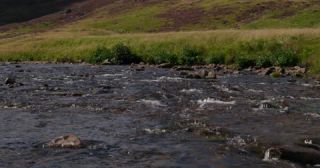 Link to Video | Scottish Highlands, landscape, Grampian Mountains, summer, United Kingdom, rural area, Aberdeenshire, Scotland, 4K resolution, Clunie Water, Calluna vulgaris, river, 2022, mountain