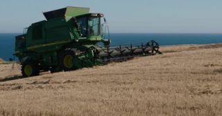 Link to Video | agriculture, summer, harvesting machine, United Kingdom, wheat, North Sea, Aberdeenshire, nutrition, Scotland, crop, 4K resolution, 2022