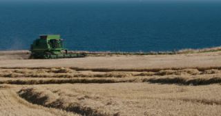 Link to Video | agriculture, summer, harvesting machine, United Kingdom, wheat, North Sea, Aberdeenshire, nutrition, Scotland, crop, 4K resolution, 2022