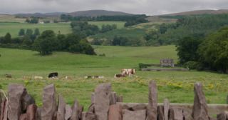 Link to Video | summer, United Kingdom, Scotland, 4K resolution, 2022