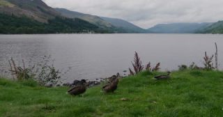 Link to Video | summer, United Kingdom, Scotland, 4K resolution, 2022