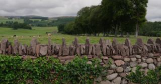 Link to Video | summer, United Kingdom, Scotland, 4K resolution, 2022