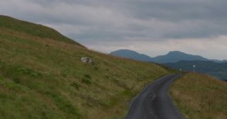 Link to Video | Scottish Highlands, landscape, Grampian Mountains, summer, United Kingdom, rural area, Erica, Perth and Kinross, Scotland, 4K resolution, Calluna vulgaris, 2022, Ben Lawers