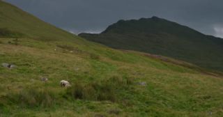 Link to Video | Scottish Highlands, landscape, Grampian Mountains, summer, United Kingdom, rural area, Erica, Perth and Kinross, Scotland, 4K resolution, Calluna vulgaris, 2022, Ben Lawers