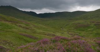 Link to Video | Scottish Highlands, landscape, Grampian Mountains, summer, United Kingdom, rural area, Erica, Perth and Kinross, Scotland, 4K resolution, Calluna vulgaris, 2022, Ben Lawers