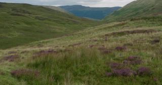Link to Video | Scottish Highlands, landscape, Grampian Mountains, summer, United Kingdom, rural area, Erica, Perth and Kinross, Scotland, 4K resolution, Calluna vulgaris, 2022, Ben Lawers